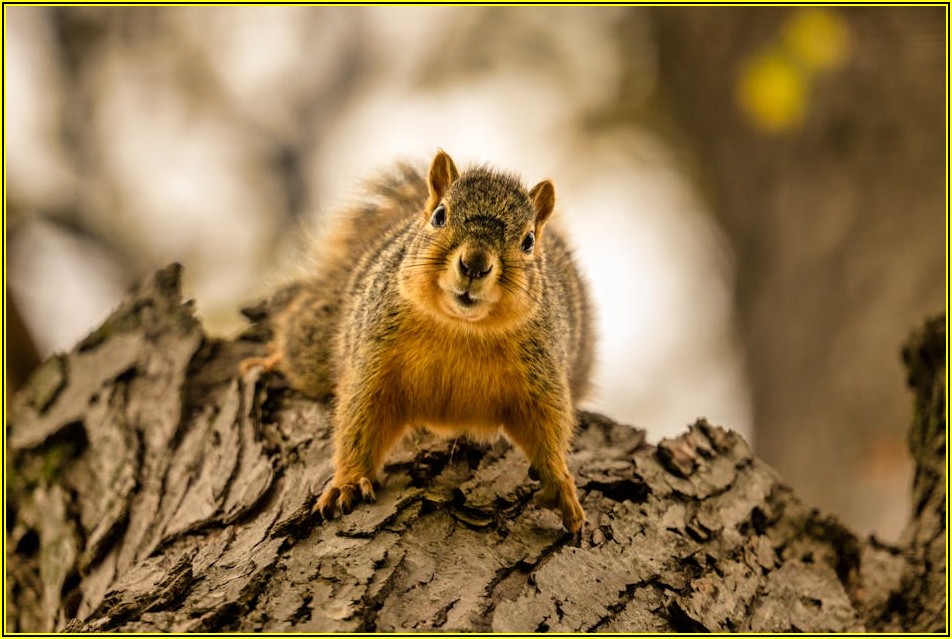 미국 주식 투자자 주목! 양도세 절세 전략 총정리