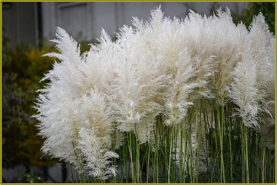 인생샷 보장! 최고의 경치 펜션 고르는 비법