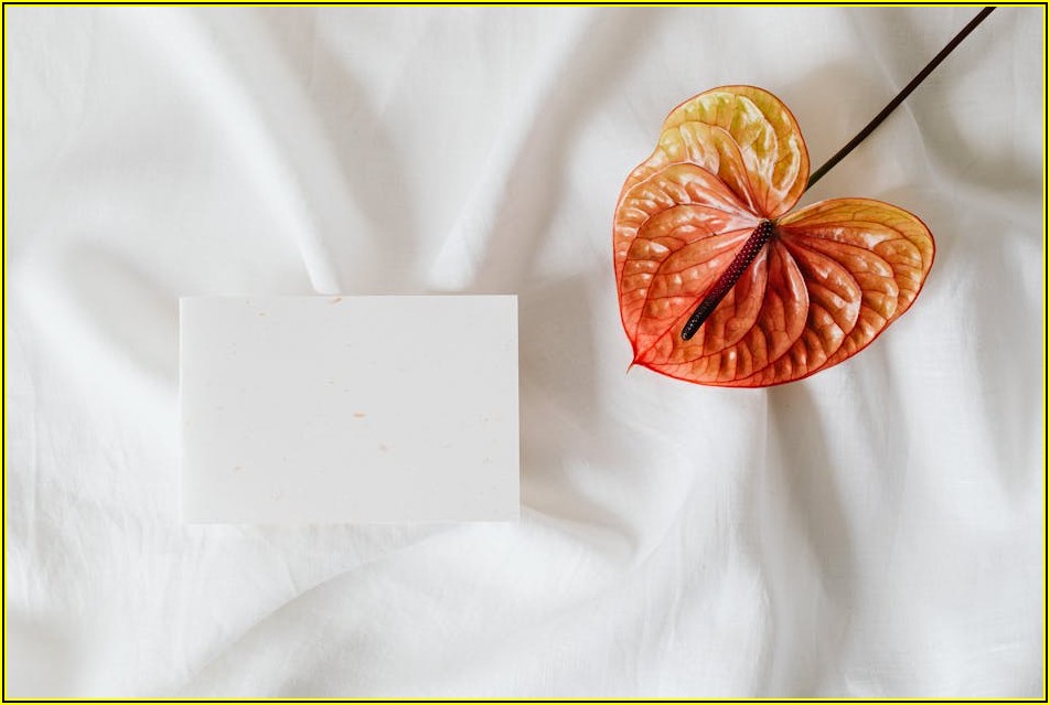 억울한 명예훼손, 법적 대응 전략 총정리