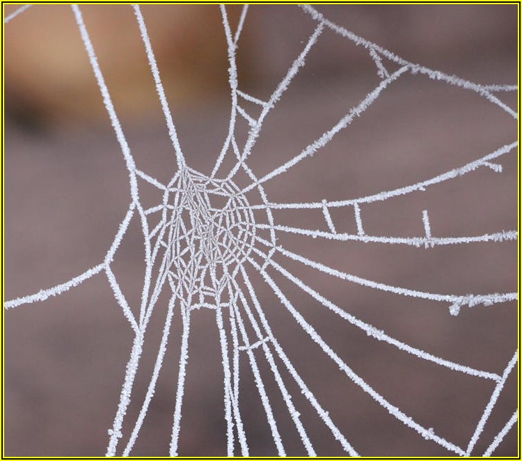 하수구 트랩 설치, 이것만은 꼭 알아두세요