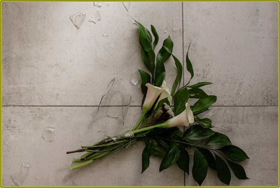 조정이혼 성공 열쇠, 변호사 선임의 모든 것