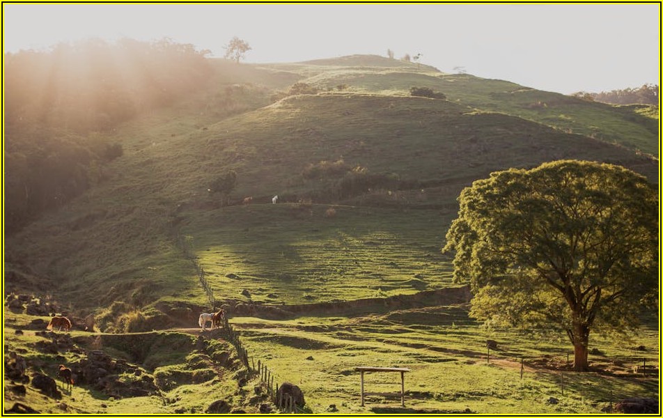 중소기업 성장 동력, 정책자금 활용 꿀팁 총정리