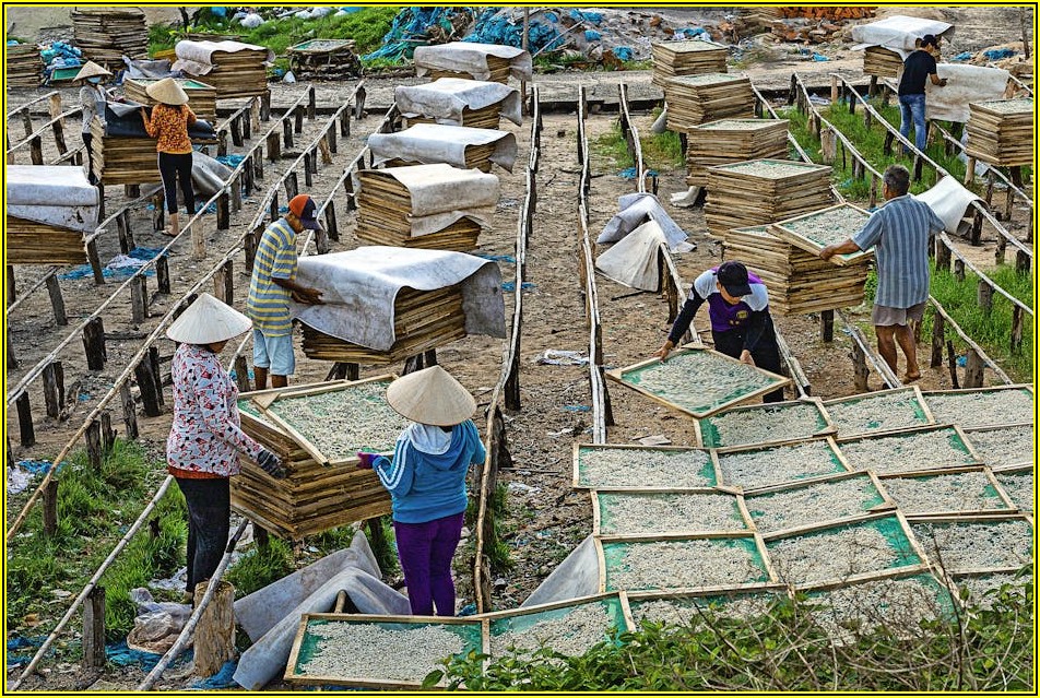 근로자 복지 향상, 공동근로복지기금 법률&middot;세무 해부