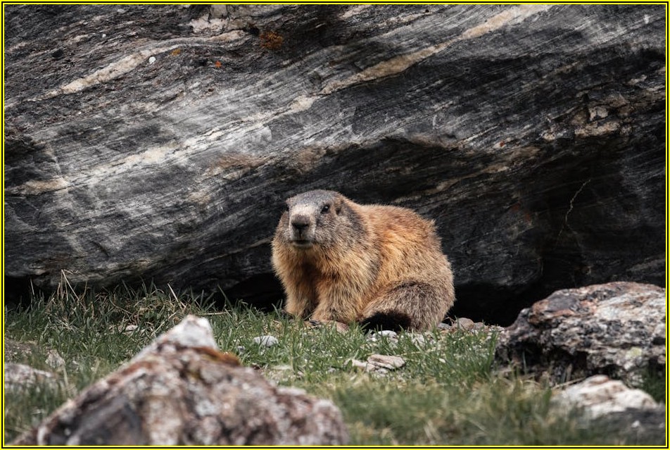 고퀄리티 무료 사진 사이트 2024, 전문가 추천 리스트