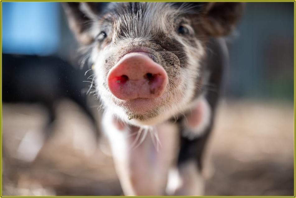 찰떡궁합 휴대템, 미니 헤어스프레이 장점과 활용법 총정리