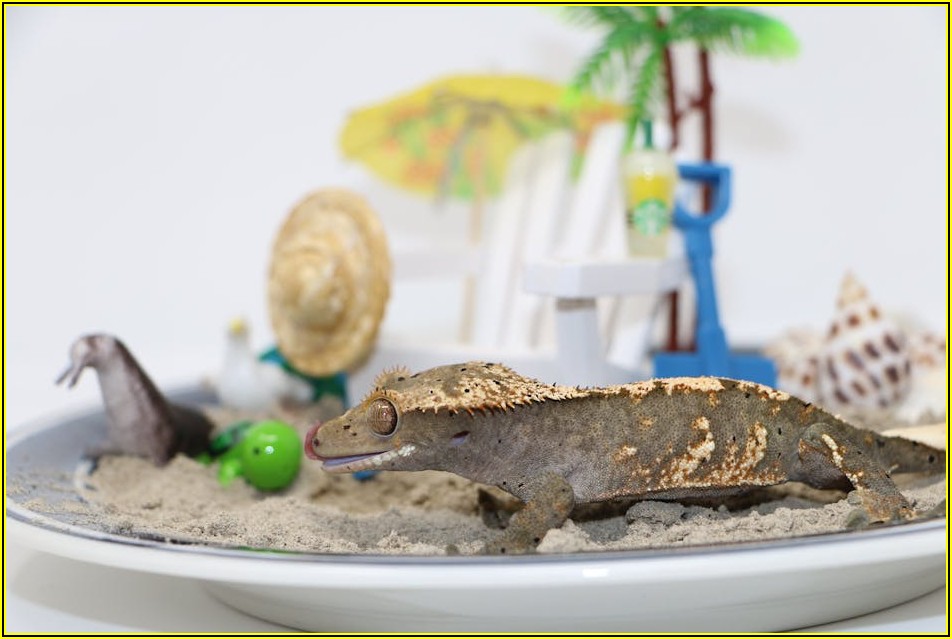 레고 피규어 장식장, 이것만 알면 실패 없어요