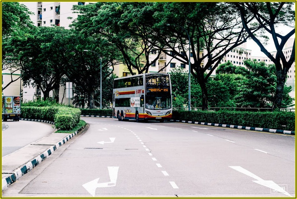 안심하고 즐기는 여행, 리무진버스 이용 완벽 가이드