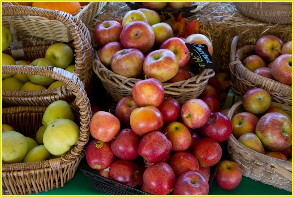 미국 주식 투자, 당신의 자산을 지키는 법