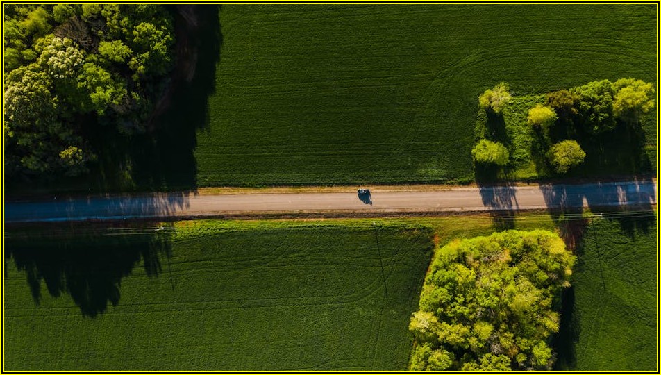 음주 사고 시 면책금, 보험 가입자는 알아야 할 진실