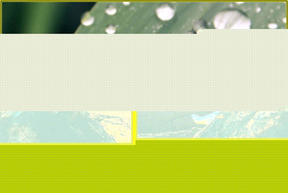 빛은 들어오고 열은 막는! 반투명 시트지의 비밀