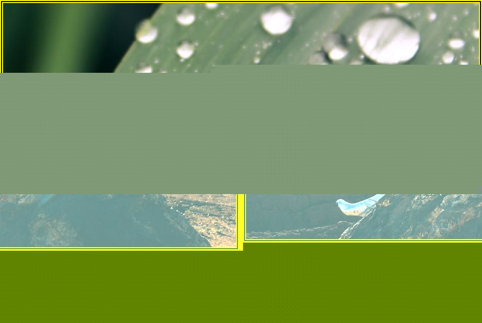 썬팅 효과와 단열을 한번에! 반투명 시트지 활용법