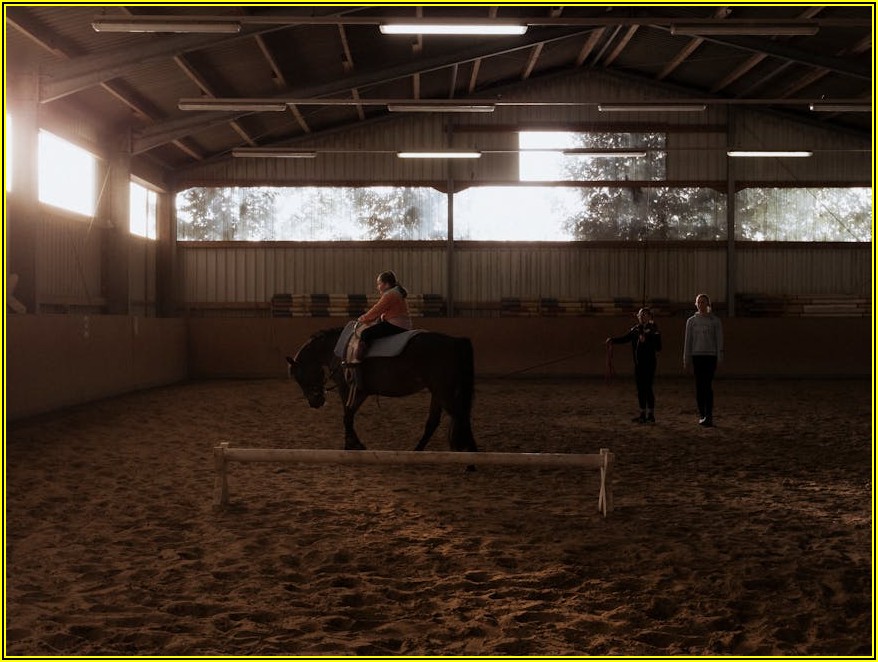 이혼 후 자녀 양육, 행복한 미래를 위한 부모 가이드