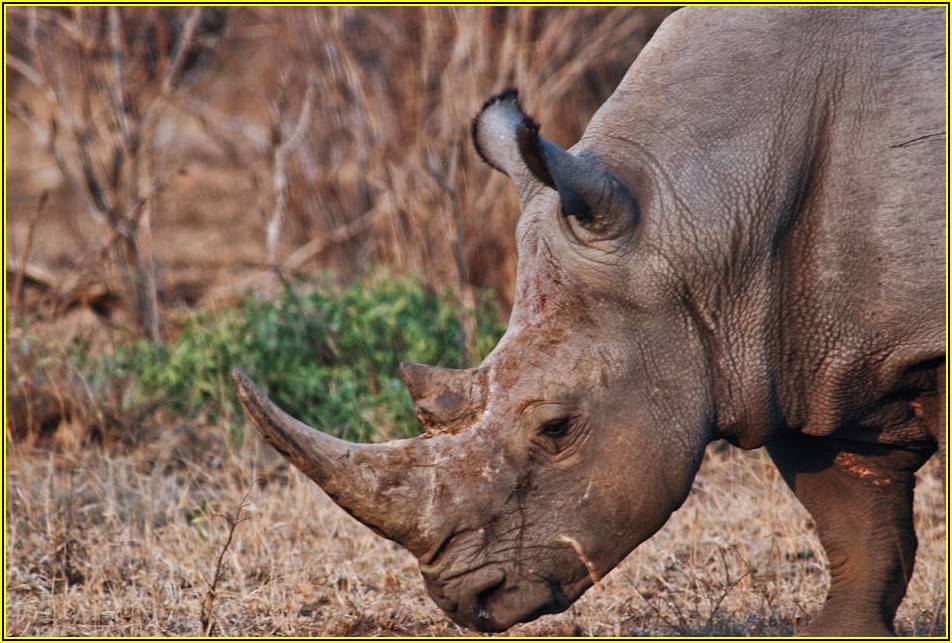 국비지원 라이노학원, 비용 부담 없이 실력 쌓는 법
