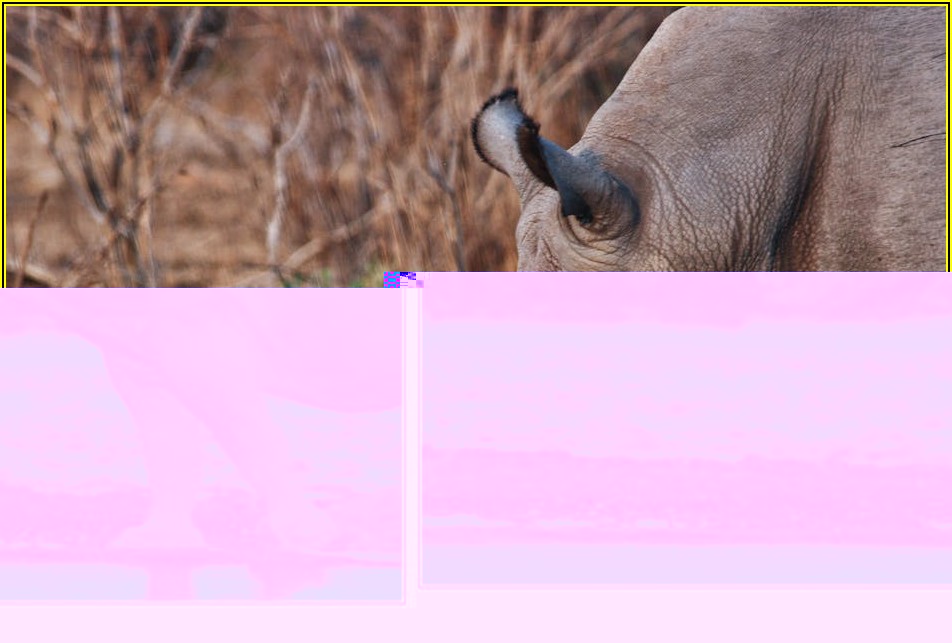 라이노학원 국비지원, 똑똑하게 수강료 아끼는 비결