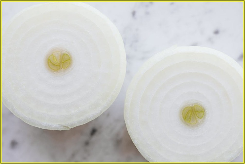 음식물 쓰레기, 더 이상 골칫거리 NO!