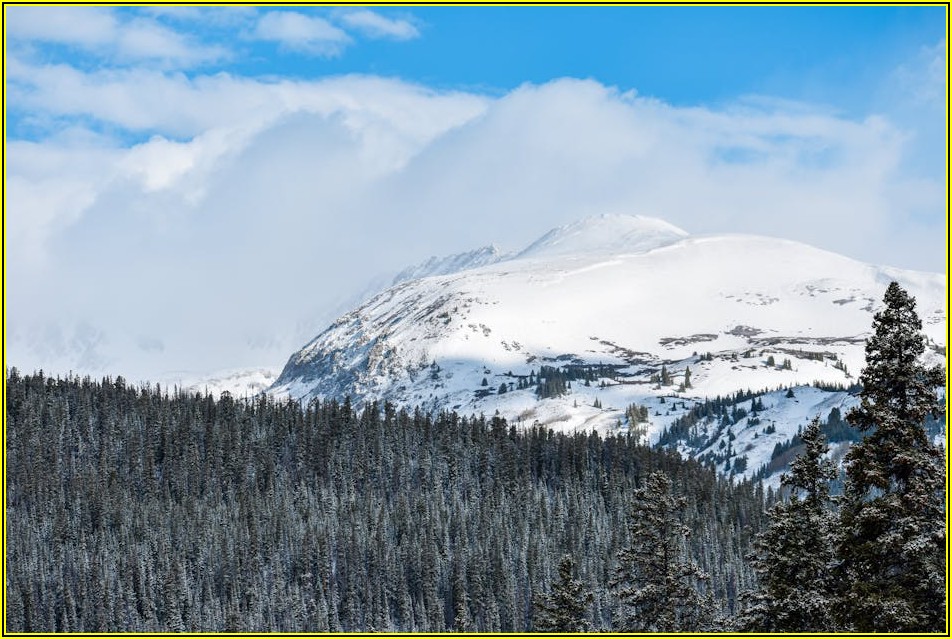 미래를 위한 선택, 미국 인덱스 펀드 장기 투자 노하우