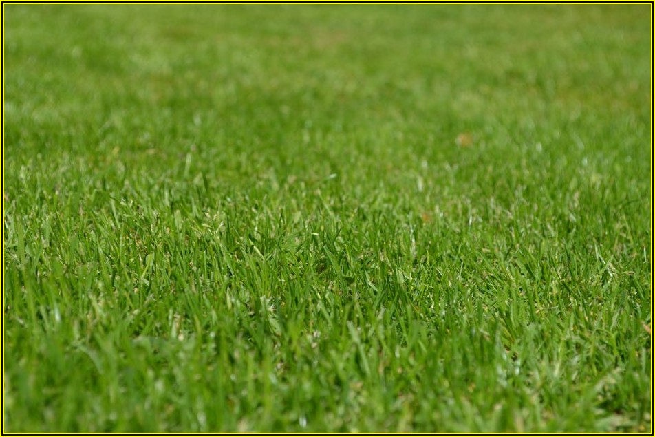 꿀 같은 여름방학, 똑똑하게 공부하는 비법 공개