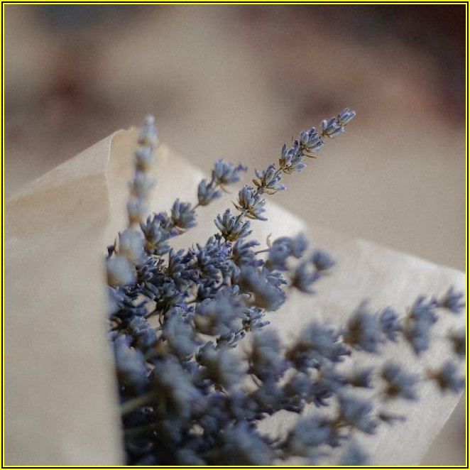 암기력 고민 끝! 최신 과학이 밝혀낸 기억력 증진법

# 도입부