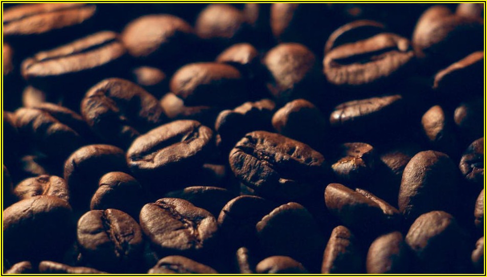 당신이 몰랐던 커피 포스터, 종류별 매력 탐구