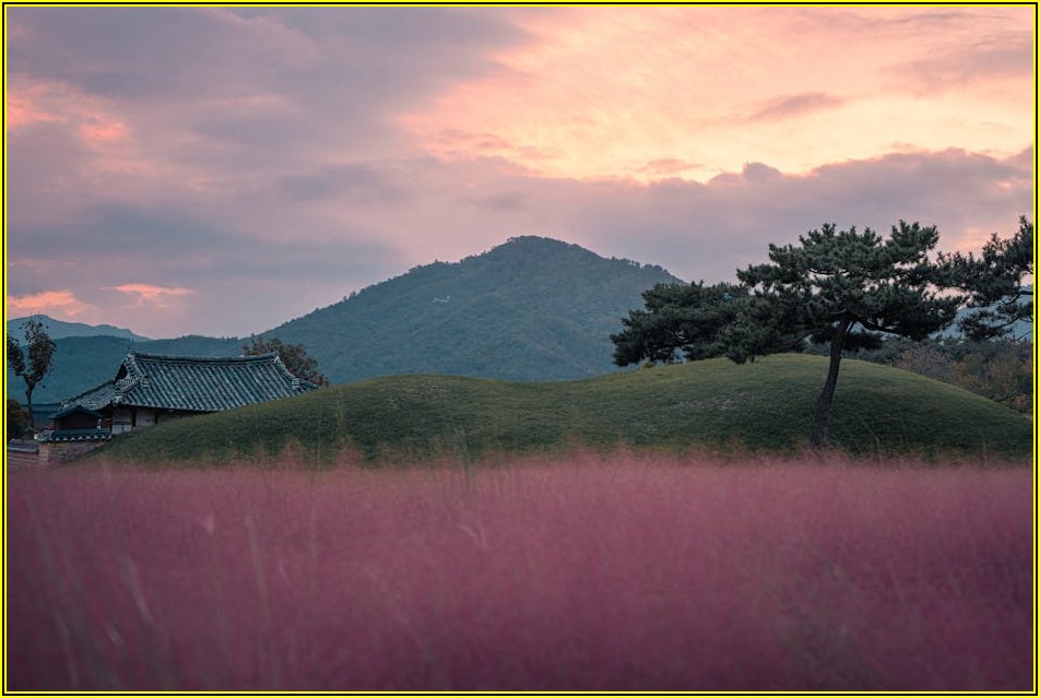 스마트한 예약, 세이버코리아 기능 100% 활용하기