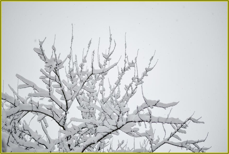 ESTA 승인 여부, 신청 후 빠르게 확인하는 방법