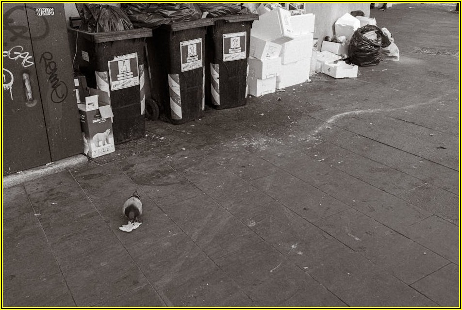 좁은 공간도 OK! 3단 분리수거함 공간 절약 꿀팁