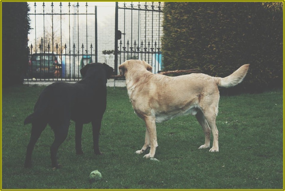 개성 만점 여행! 캐리어 스티커로 나를 표현하는 방법