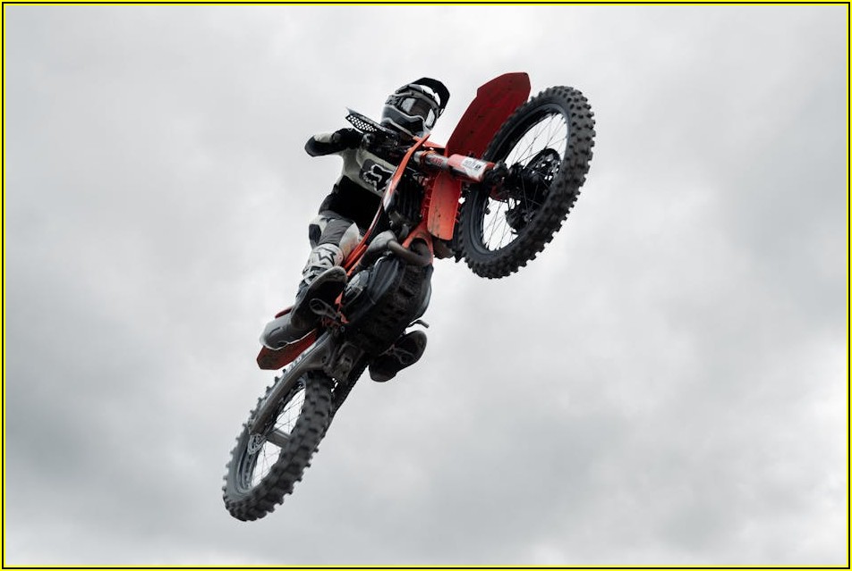 정원 관리 필수템! 고압 분무기 종류별 특징 상세 분석