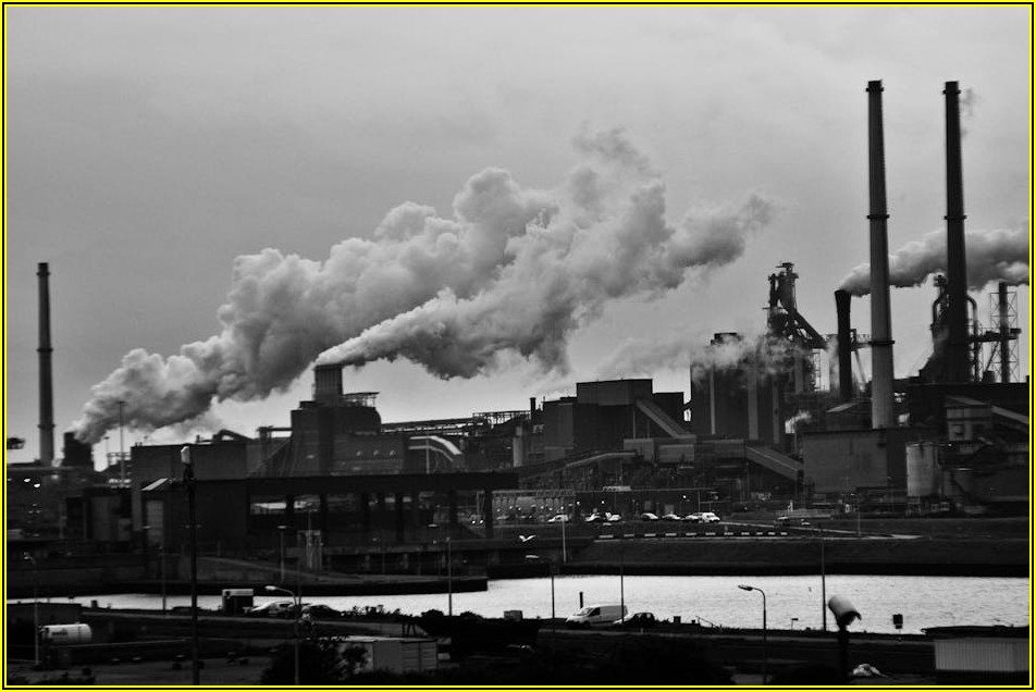 동력운반차 활용법: 산업 현장부터 농업까지