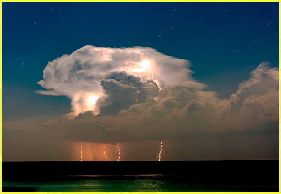 동력운반차 활용 백서: 산업 현장 및 농업 편