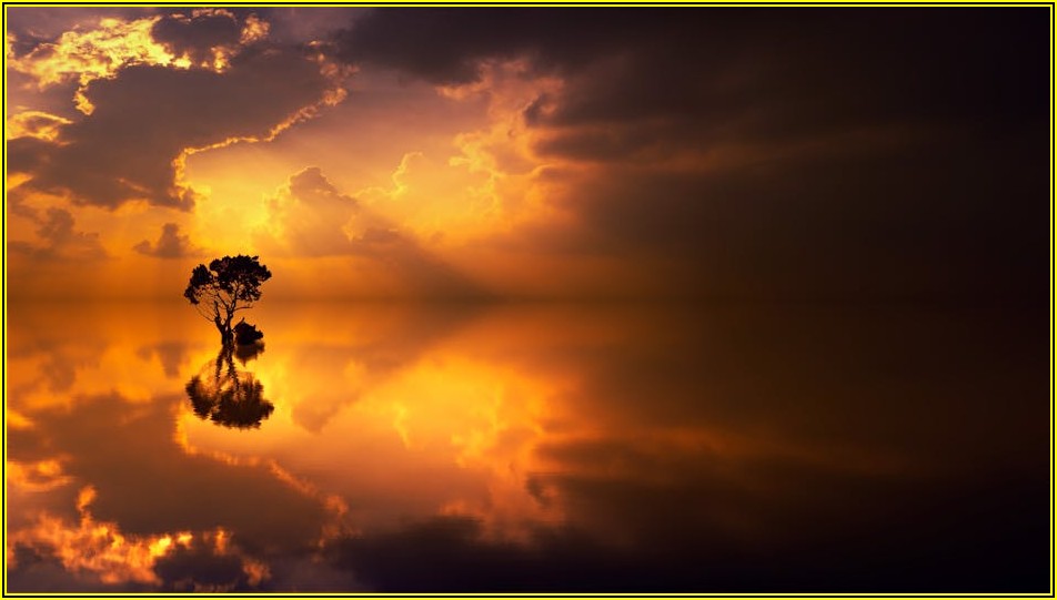 무소음 우레탄 바퀴, 장단점 파헤치기: 현명한 선택 가이드