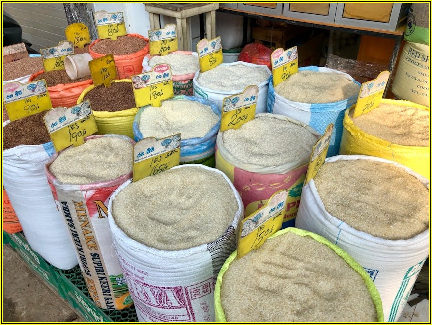 비보존 신약 개발, 미래 가치와 주가 전망 분석