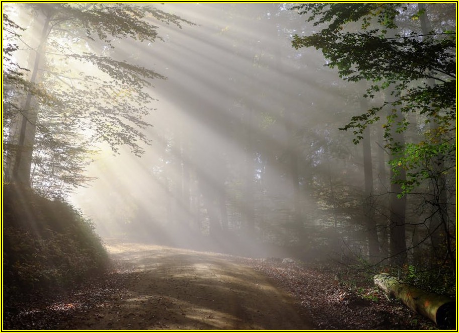 숨겨진 임사부냉면 맛집, 주차 및 영업시간 총정리