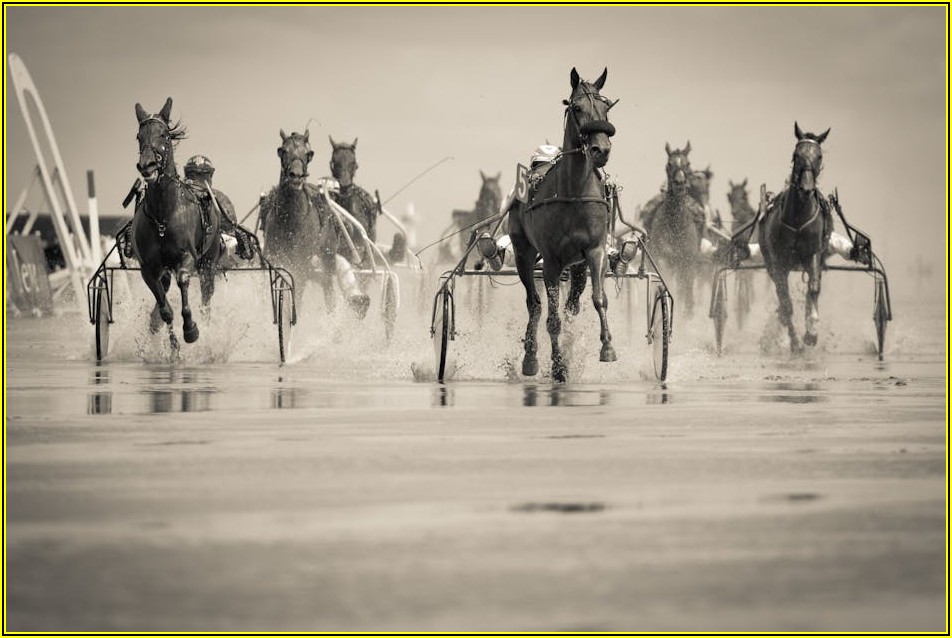 차량 관리부터 여행까지, 레이 동호회 A to Z