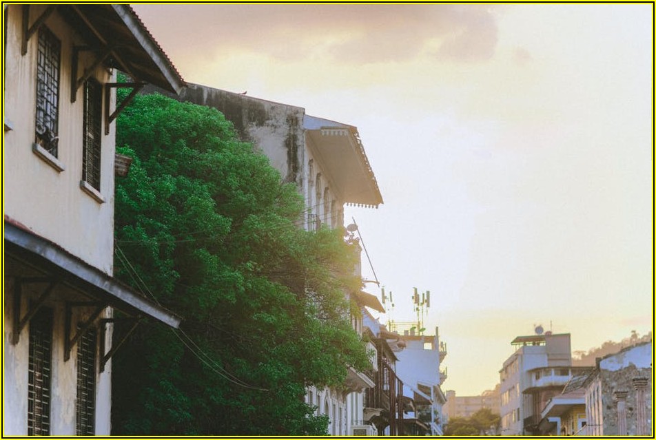 전원주택 조경, 자연주의부터 모던까지 총정리