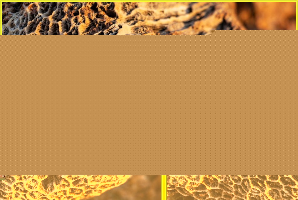 건축 트렌드를 이끄는 리얼징크, 어떻게 선택할까?