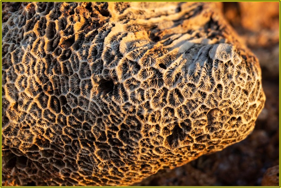 건축 트렌드를 이끄는 리얼징크, 어떻게 선택할까?