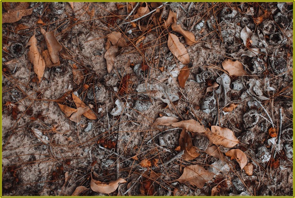 종중땅 분쟁, 속 시원히 해결하는 핵심 전략