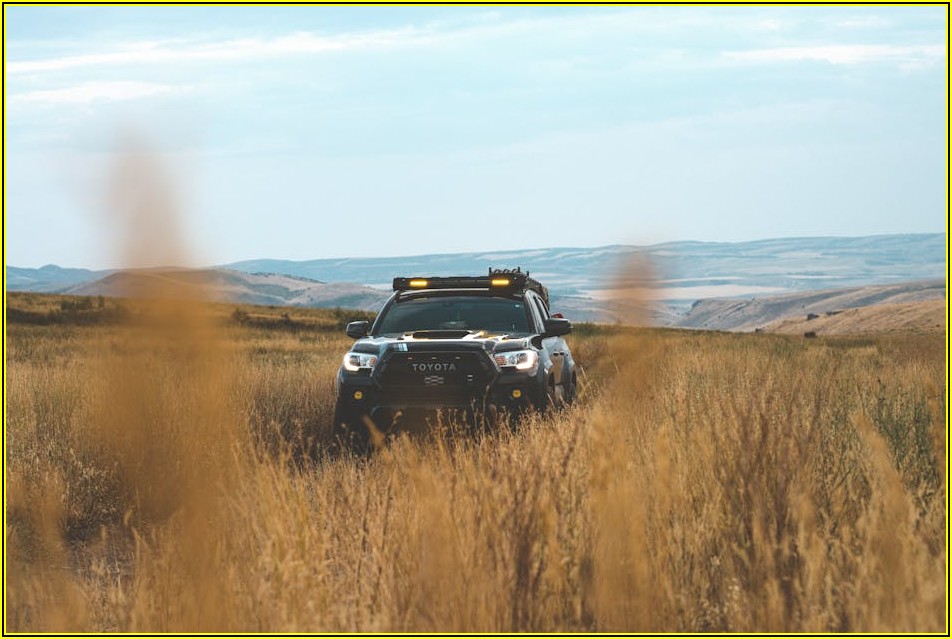 사업자 부가세 수정신고, 핵심 정보 완벽 정리