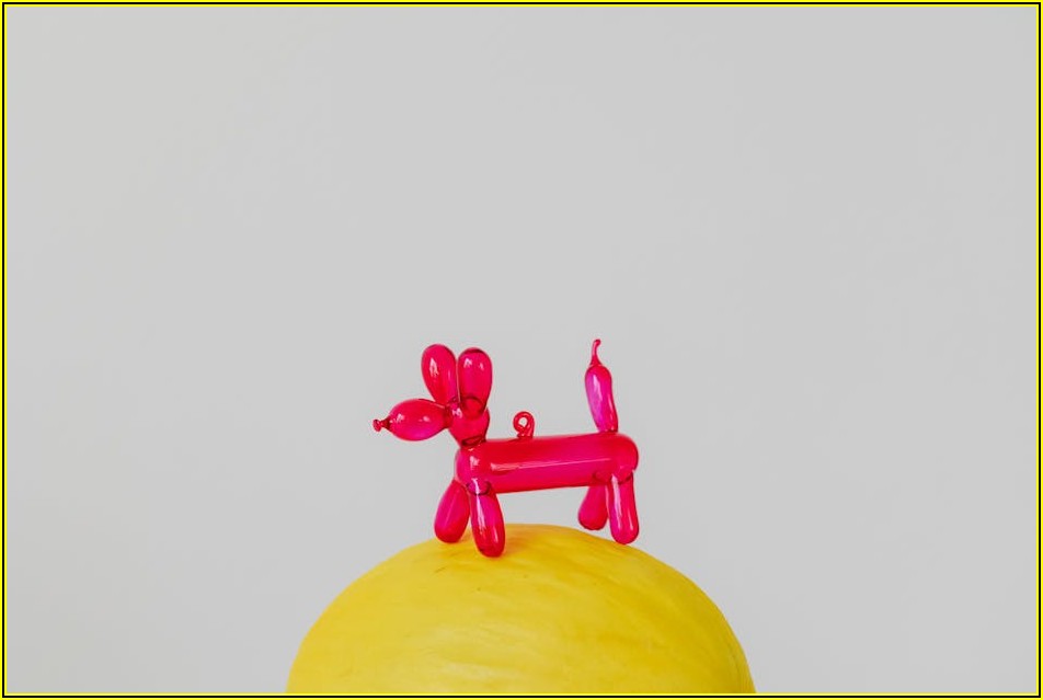 우리 집 특별 이벤트, 풍선으로 마법을 부리세요