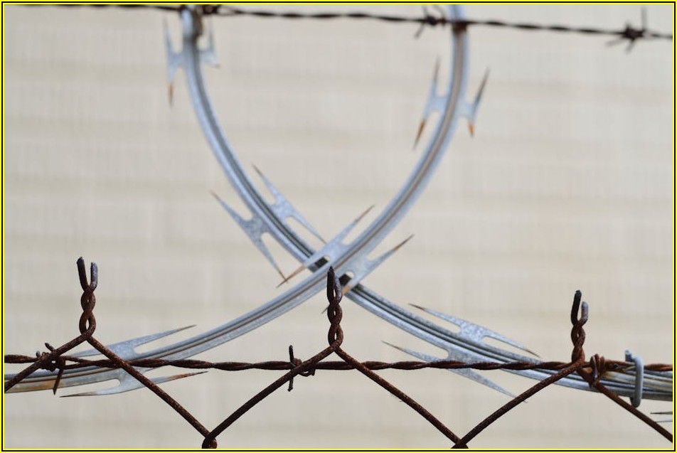 현명한 소비자를 위한 코팅 철사 추천: 가성비 끝판왕 공개