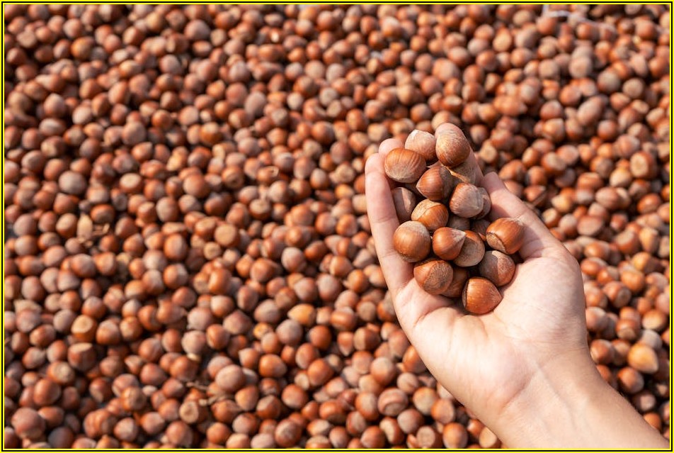 쿠팡 판매자 필독! SEO 최적화 상세 페이지 제작 가이드