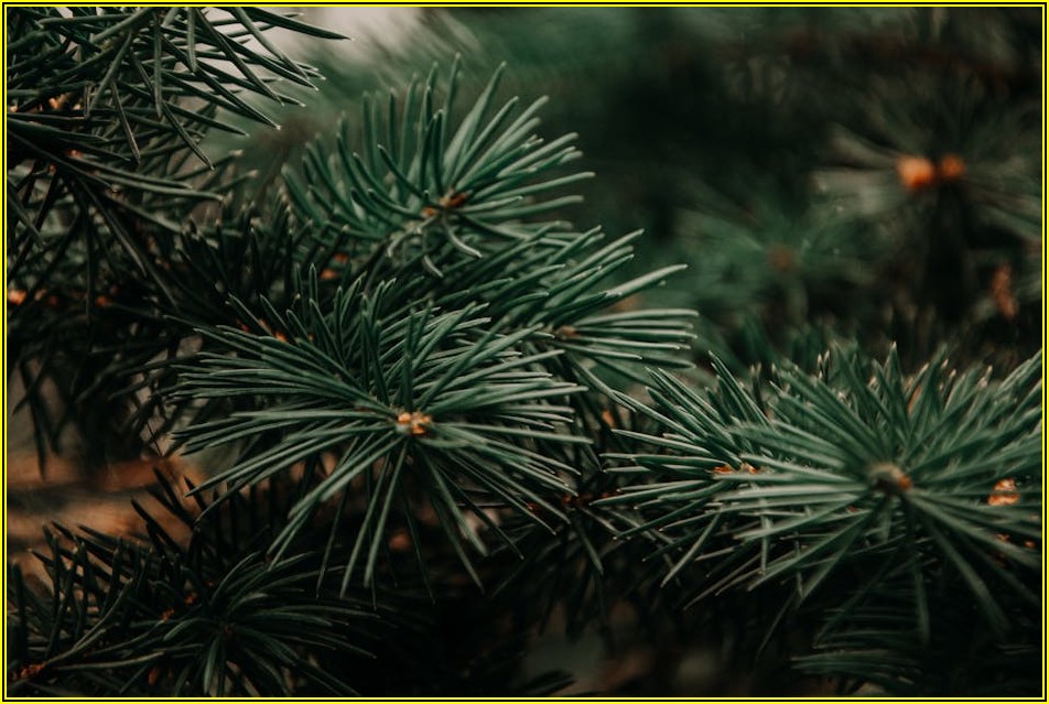 크리스마스 여행, 숙소 예약 꿀팁 대방출