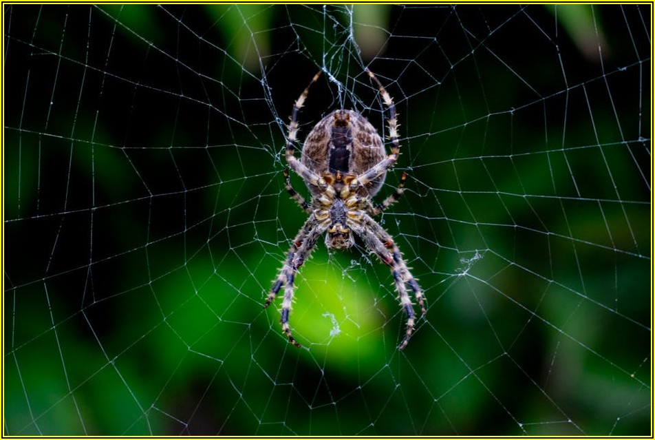 나만의 웹사이트 만들기: 제작 및 유지보수 A to Z