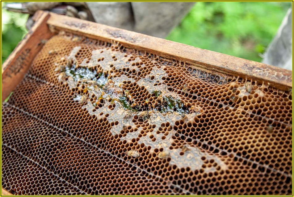 네이처셀 주가, 숨겨진 상승 및 하락 요인 분석