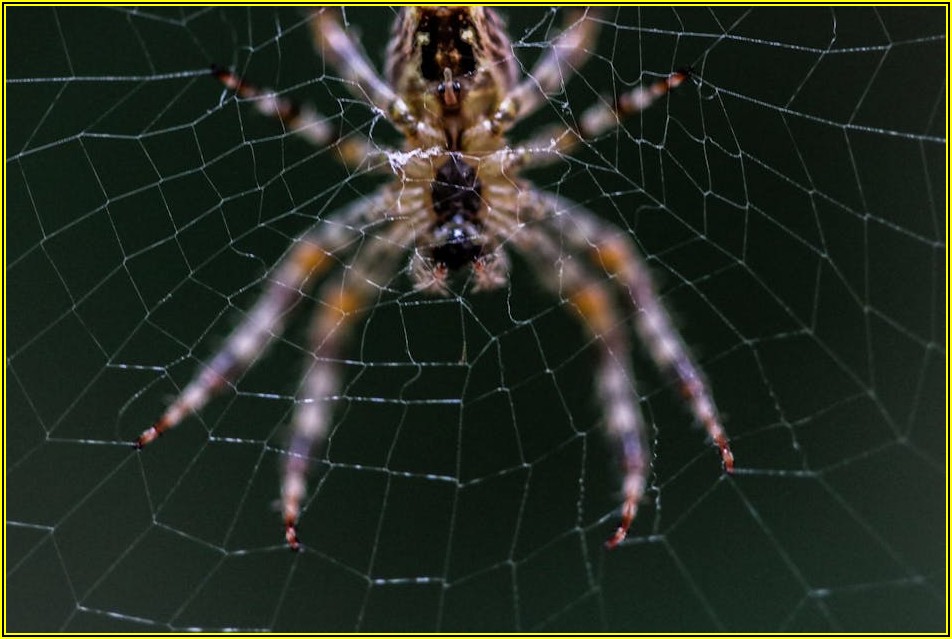 웹사이트 제작부터 관리까지, 성공 비결 총정리