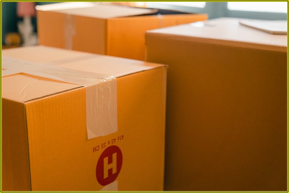 실, 단순한 도구를 넘어선 보안의 시작점