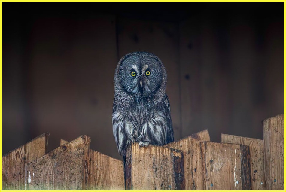 과학기술 여성 인재를 위한 최고의 선택, WISET