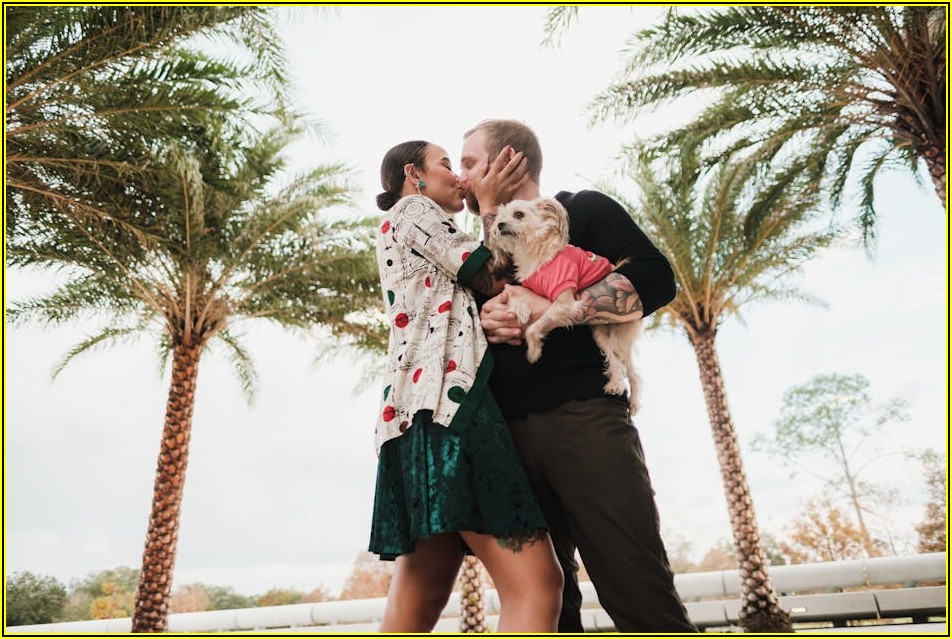 태안 이안즈펫 댕댕이 동반 여행 안전 수칙