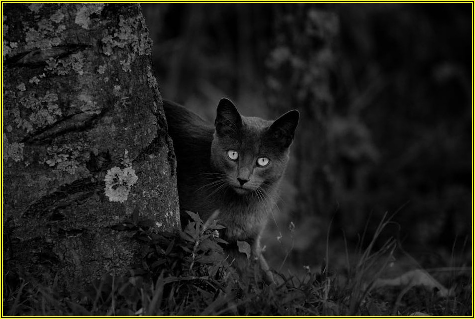 복리 효과 제대로 누리기: 월복리 적금 파헤치기